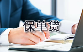 黔南保单贷