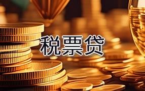 黔南税票贷